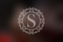 Her Quiet Confidence - Image 32